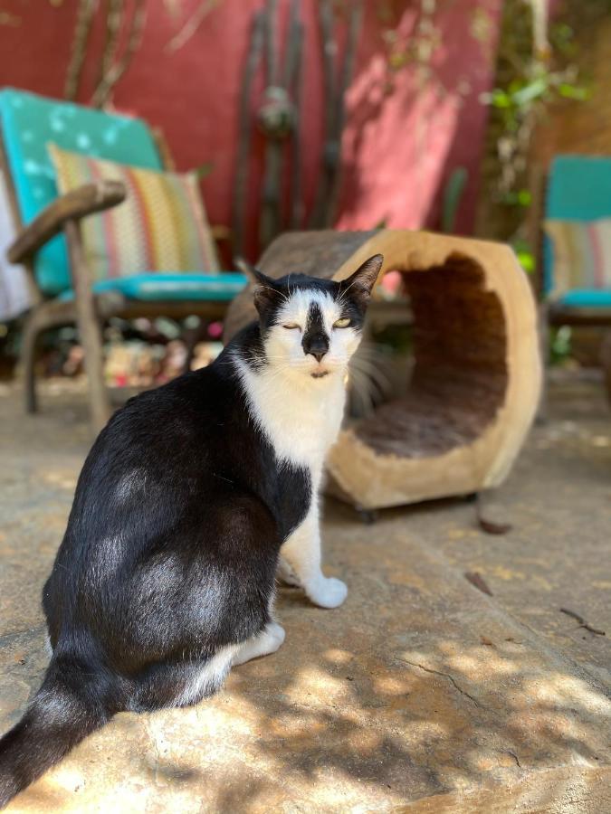 Cumelen Villa Jericoacoara Eksteriør billede