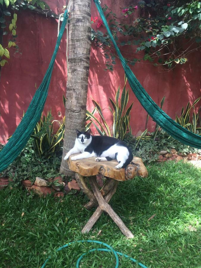 Cumelen Villa Jericoacoara Eksteriør billede